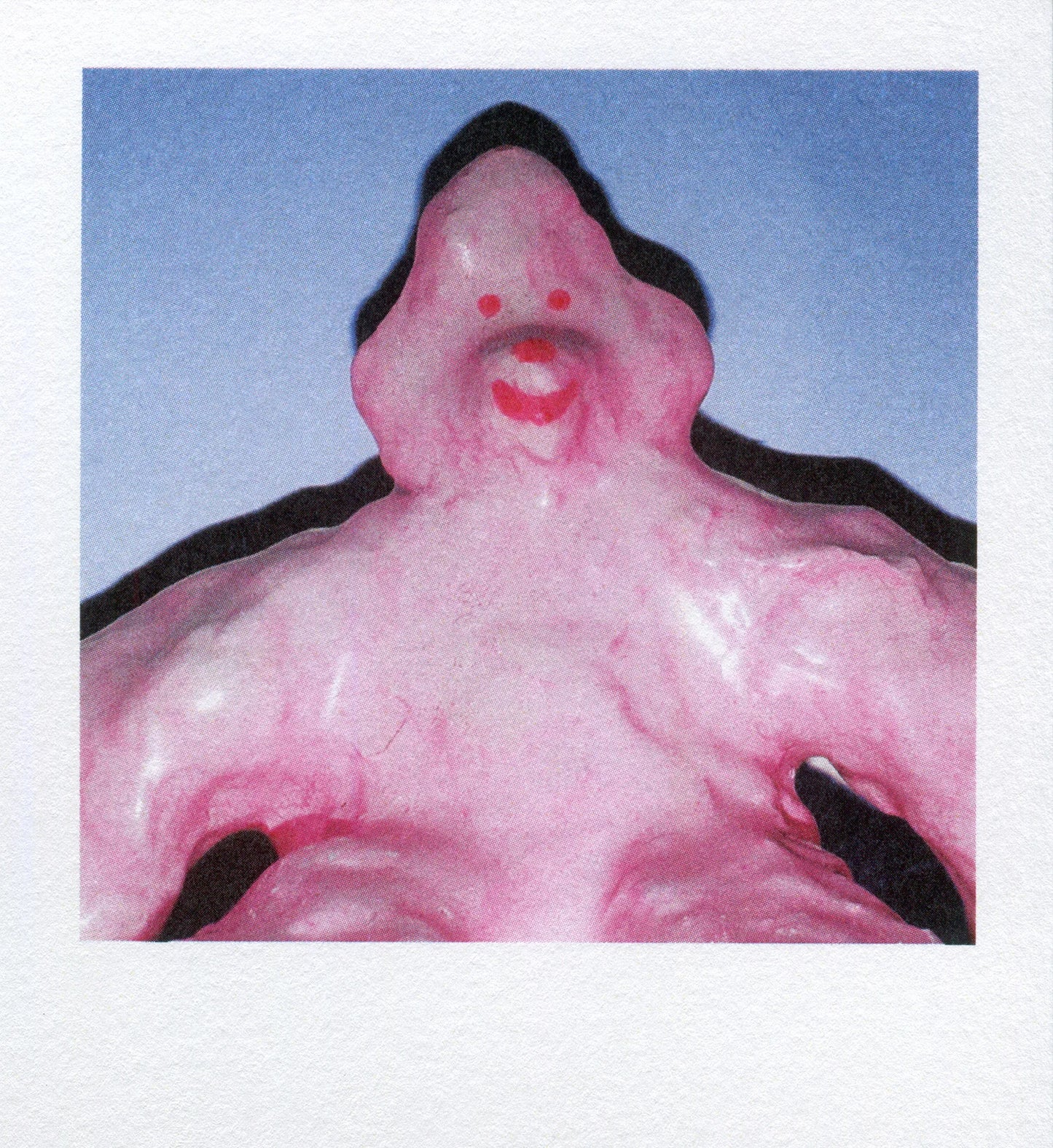 polaroid pudding