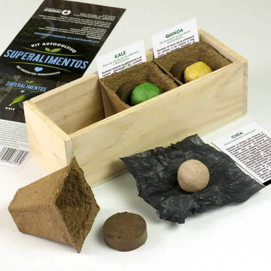 Kit Autocultivo Superalimentos (Chía, kale y quinoa)