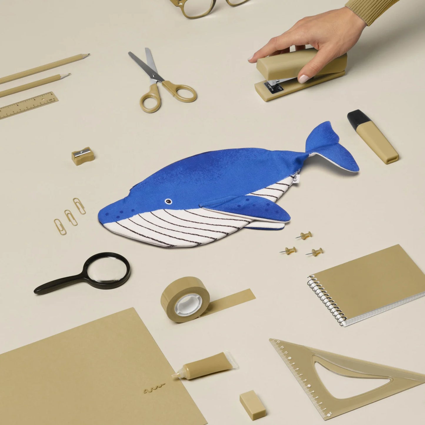 Estuche Ballena Minke