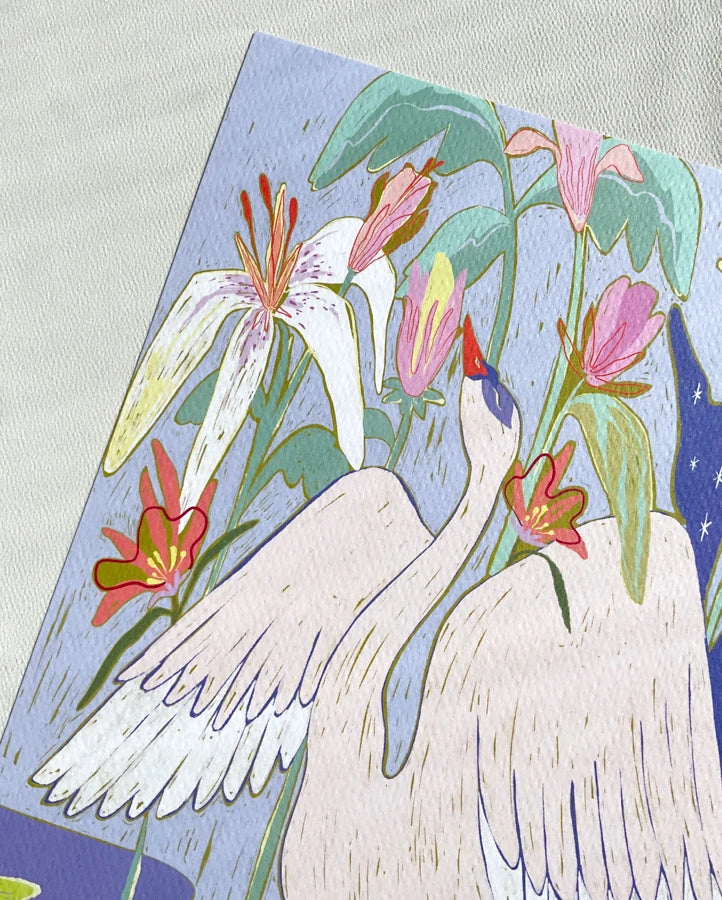 ilustración cisne