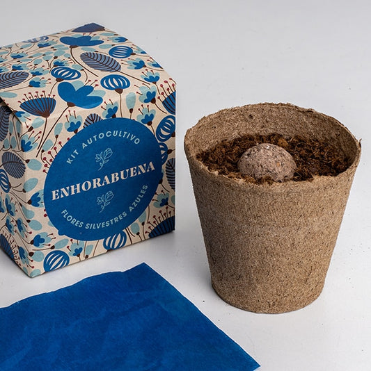 Kit autocultivo díselo con flores (Enhorabuena)