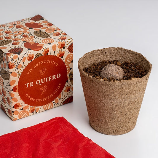 Kit autocultivo díselo con flores (Te quiero)
