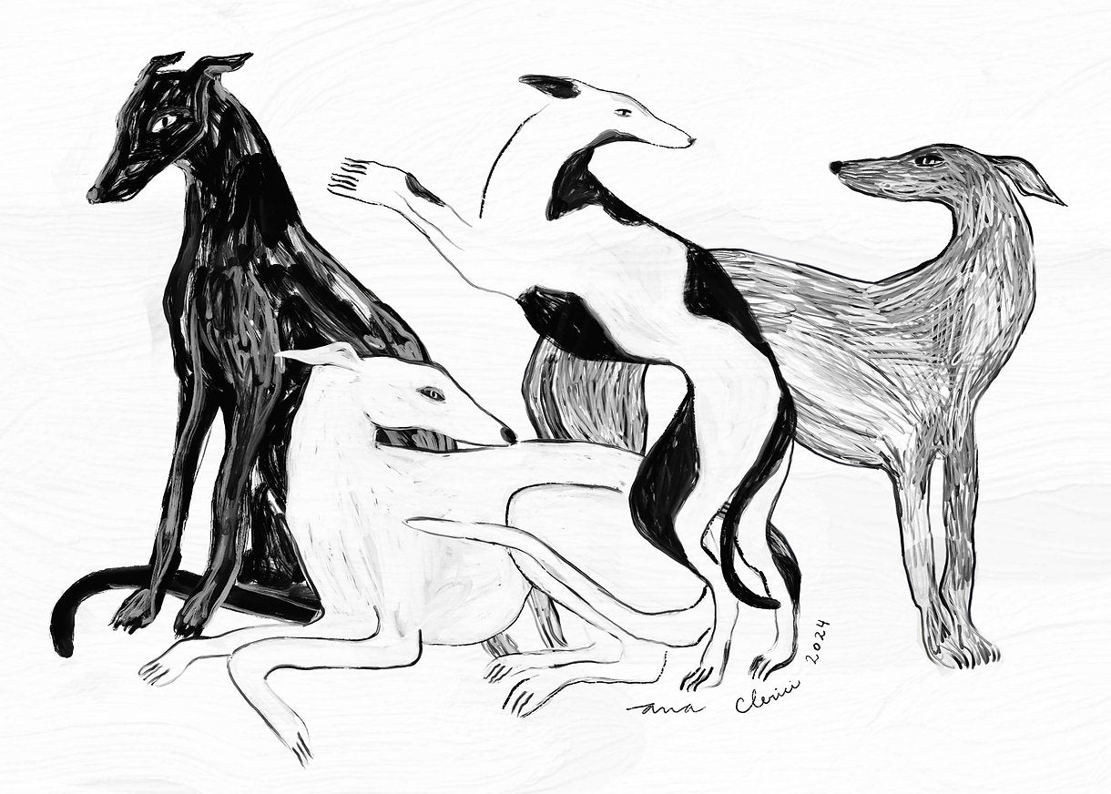 ilustración los galgos