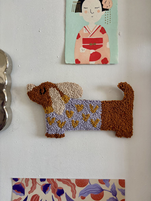 perro colgante pared