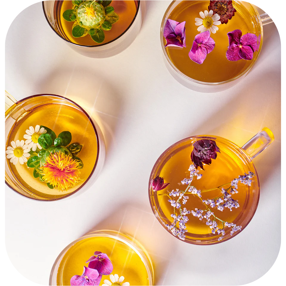 infusion Le Big Cleanse