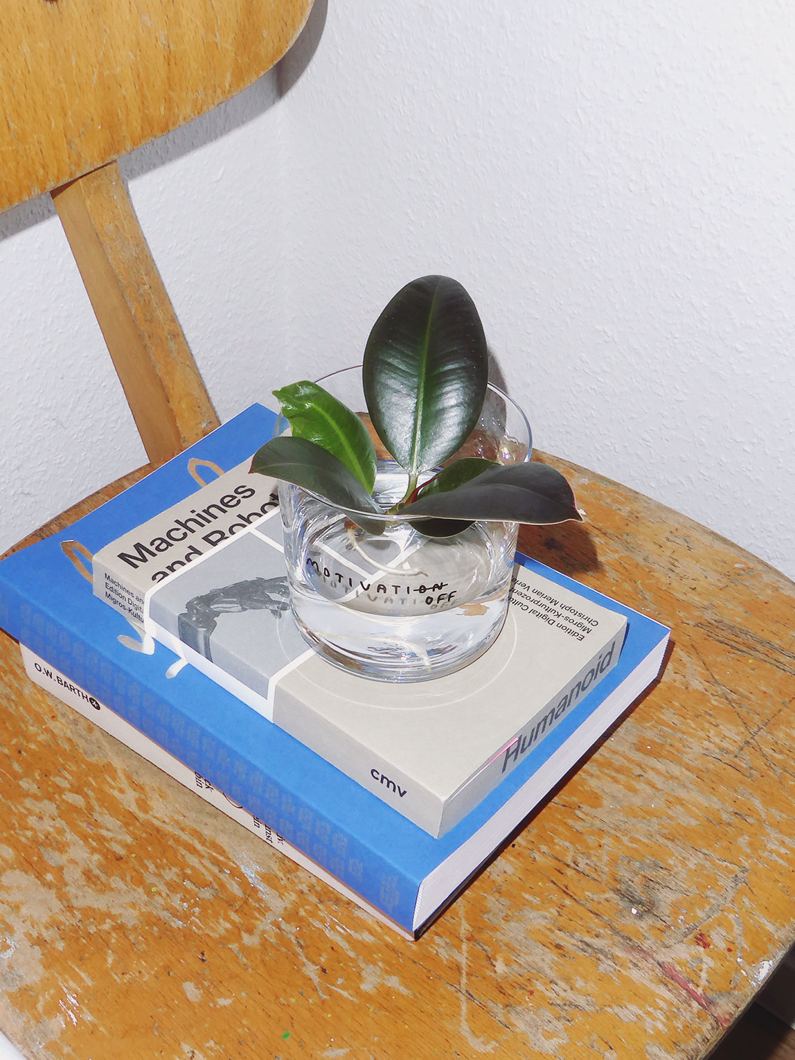 vaso mediano motivatioff