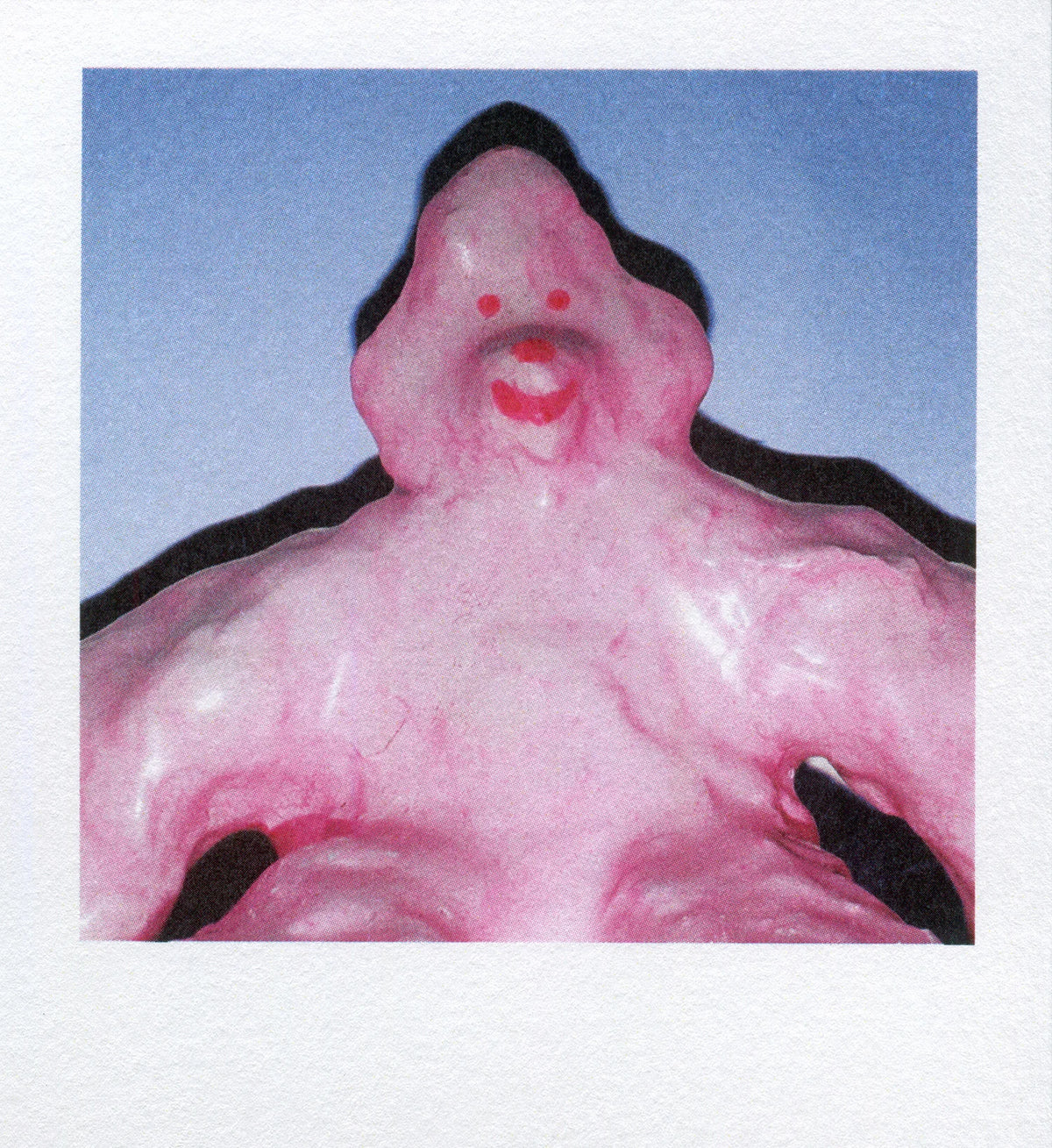 polaroid pudding