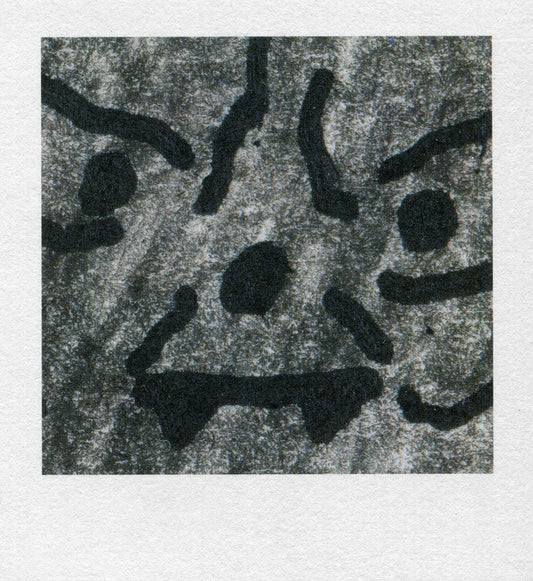 polaroid ugly fruit