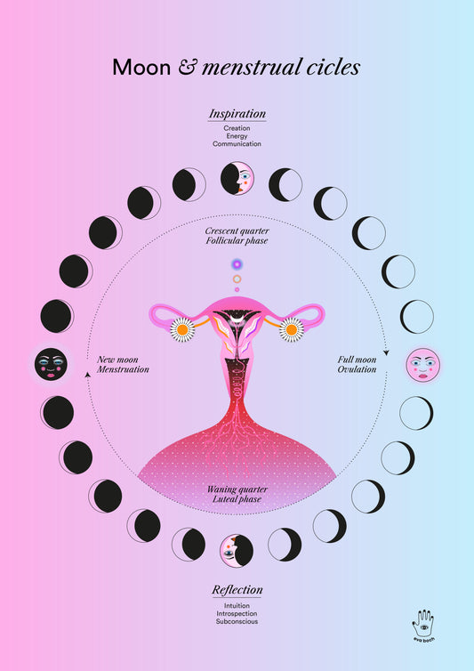 Lunar &amp; Menstrual Cycle Art Print