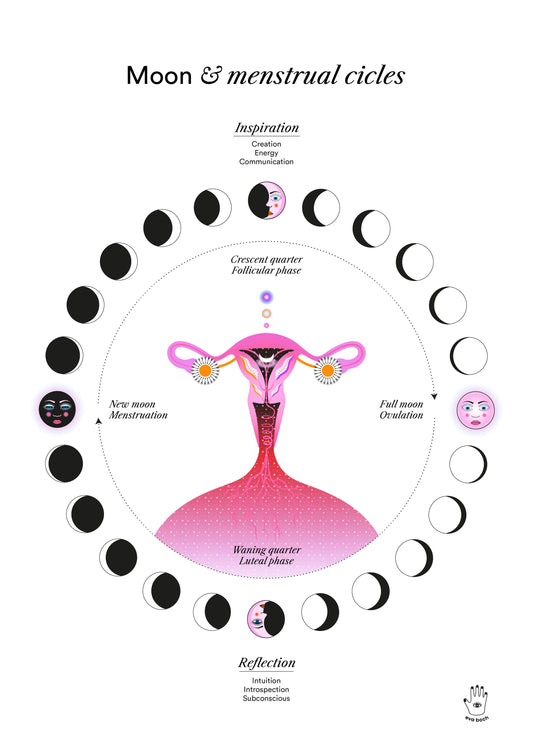 Lunar &amp; Menstrual Cycle Art Print (w)