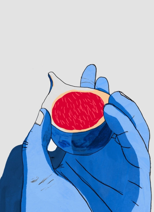ilustracion agosto