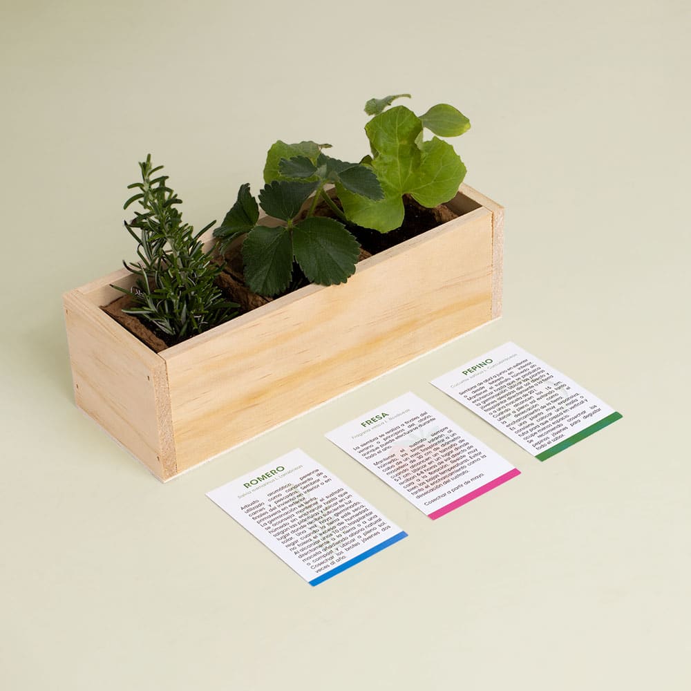 Kit Autocultivo Gin Tonic (Romero, fresa y pepino)