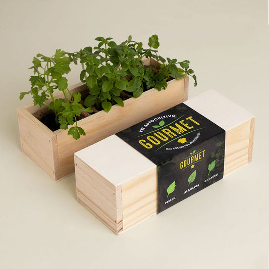 Kit Autocultivo Gourmet (perejil, albahaca y cilantro)