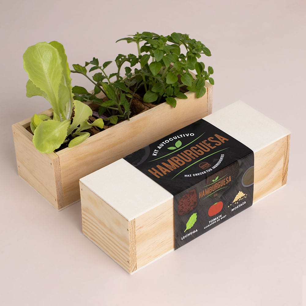 Kit Autocultivo Hamburguesa (Lechuga, tomate y mostaza)