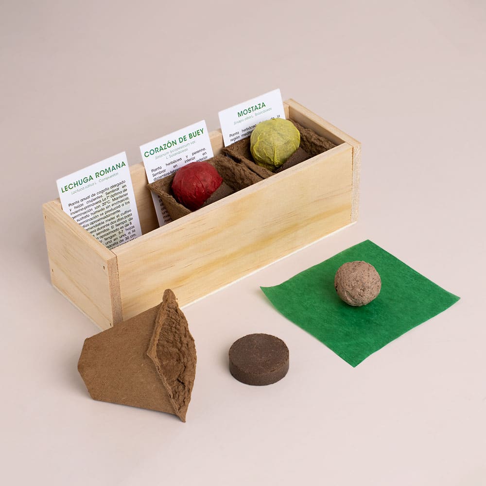 Kit Autocultivo Hamburguesa (Lechuga, tomate y mostaza)