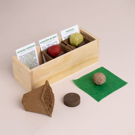 Kit Autocultivo Hamburguesa (Lechuga, tomate y mostaza)