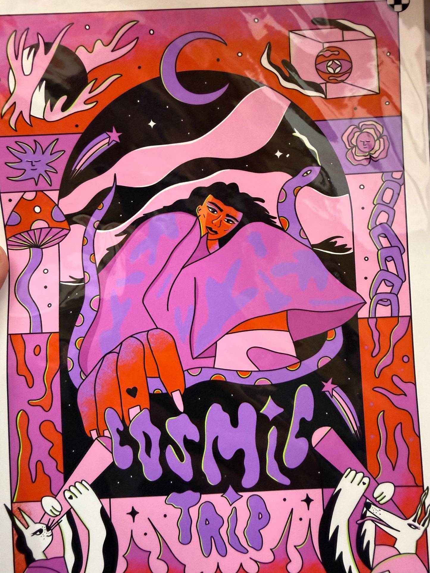 Cosmic Trip