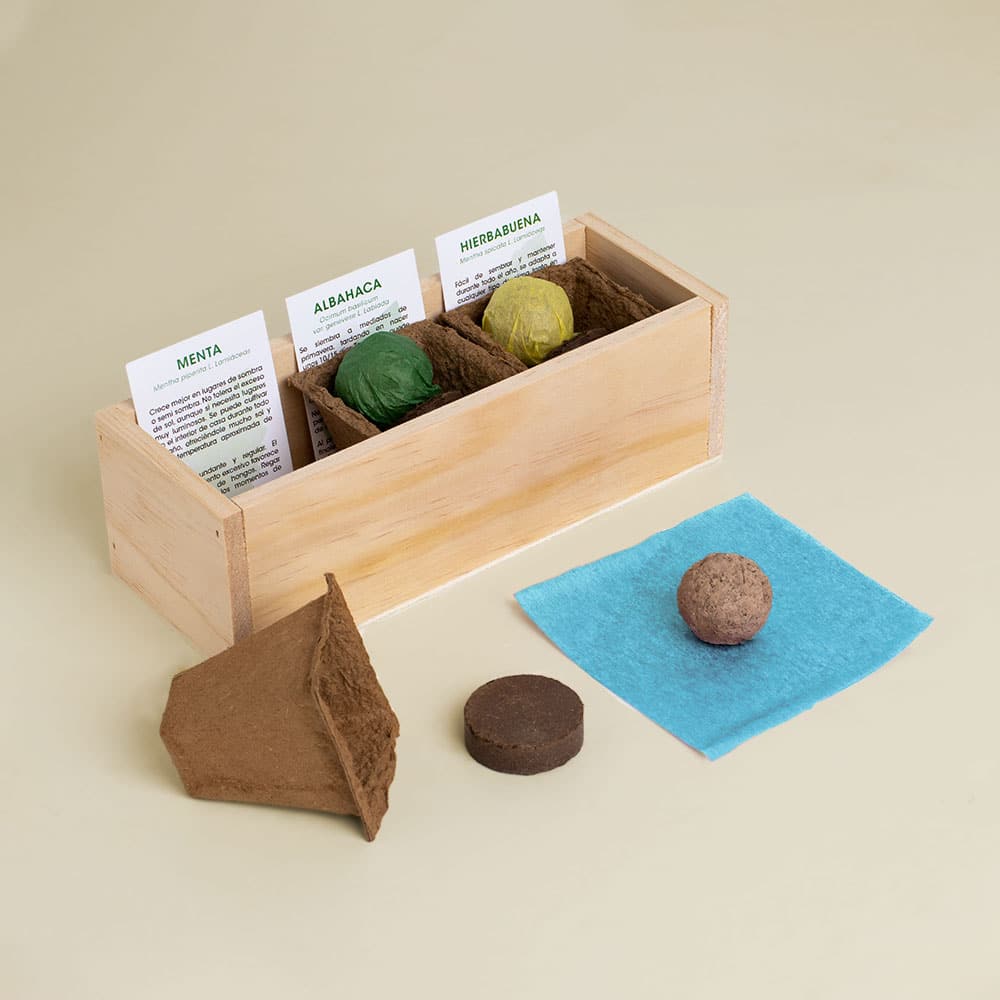 Kit Autocultivo Mojito (menta, albahaca y hierbabuena)