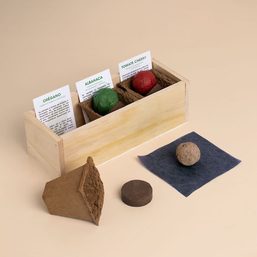 Kit Autocultivo Pizza (Orégano, albahaca y tomate cherry)