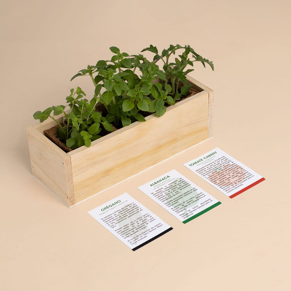 Kit Autocultivo Pizza (Orégano, albahaca y tomate cherry)