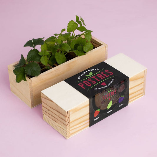 Kit Autocultivo Postres (Fresa, menta y mora)