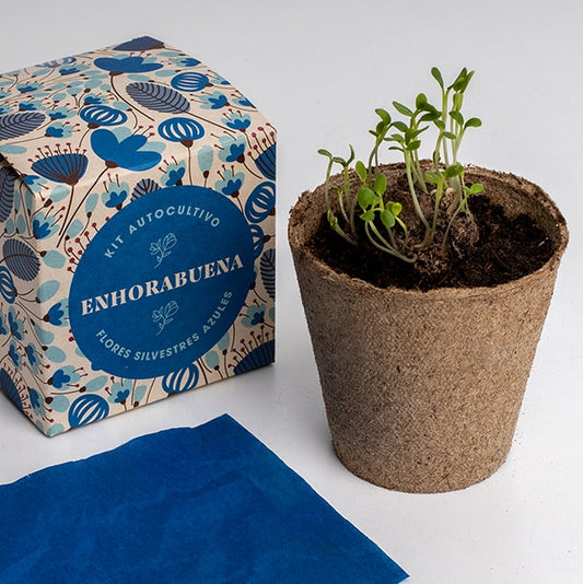 Kit autocultivo díselo con flores (Enhorabuena)