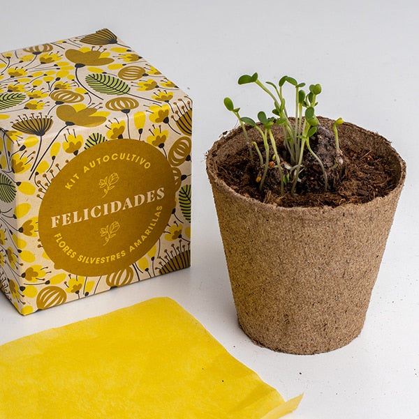 Kit autocultivo díselo con flores (Felicidades)