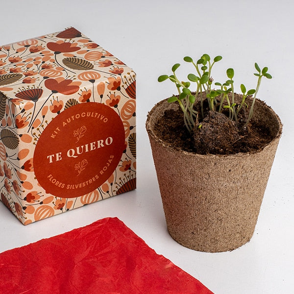 Kit autocultivo díselo con flores (Te quiero)