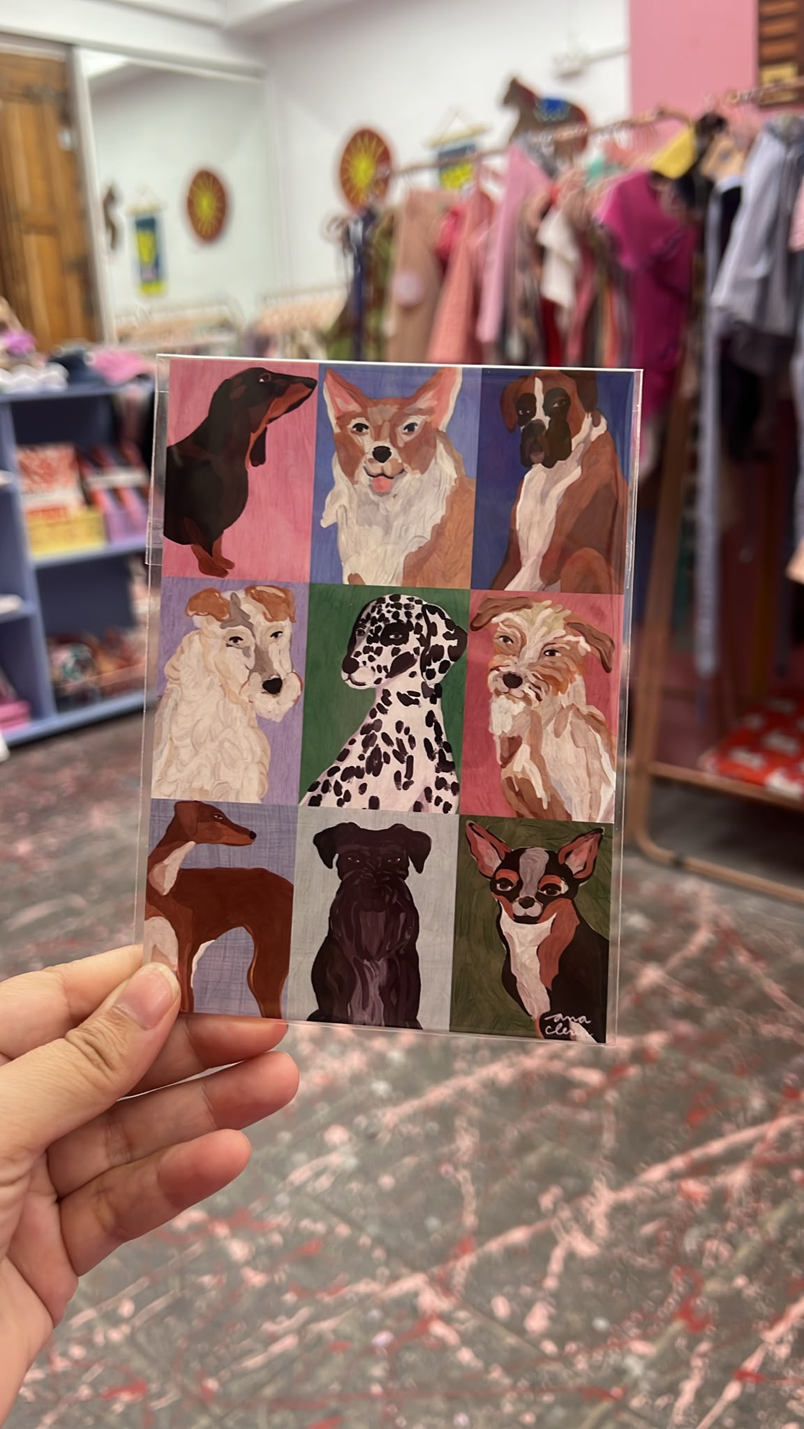 postal perros