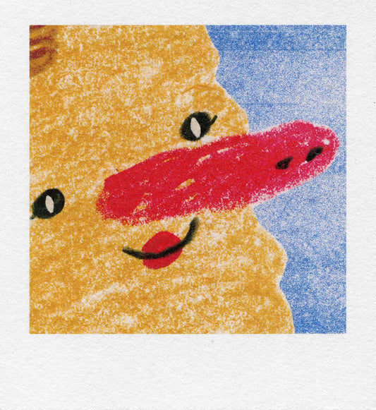 polaroid surströmming