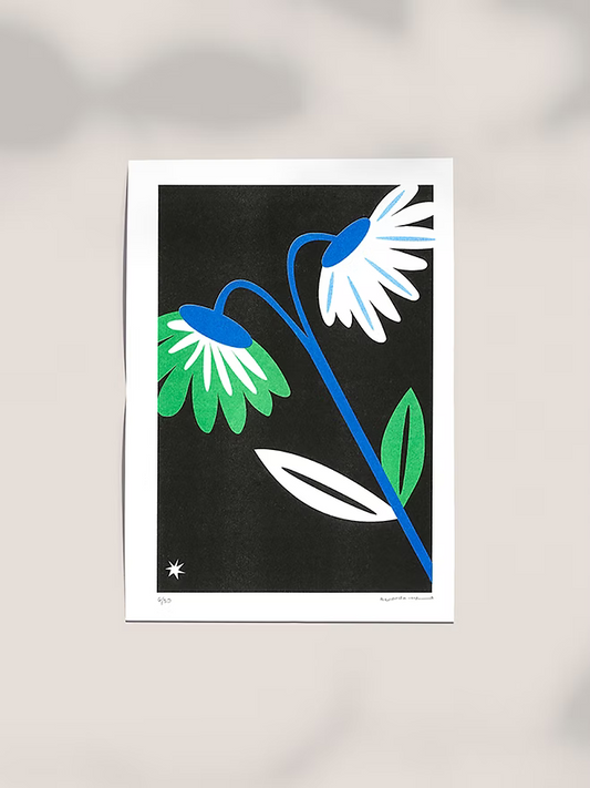 Witchcraft, Snakes and Poisons Art Print