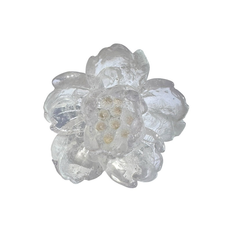 anillo maxiflor