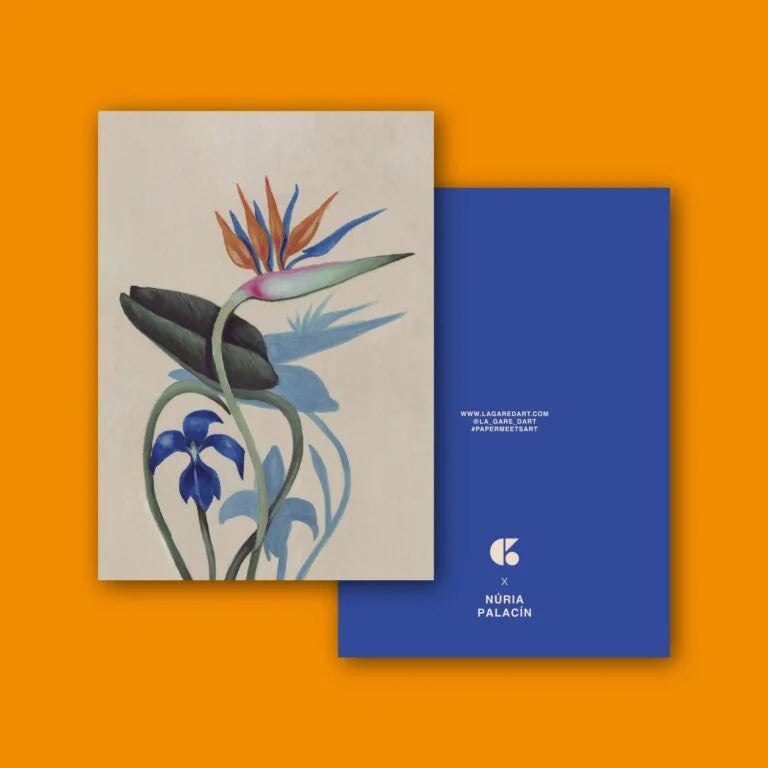 Libreta Dracunculus