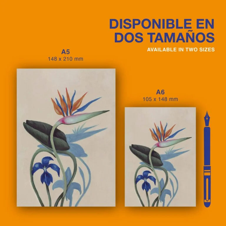 Libreta Dracunculus