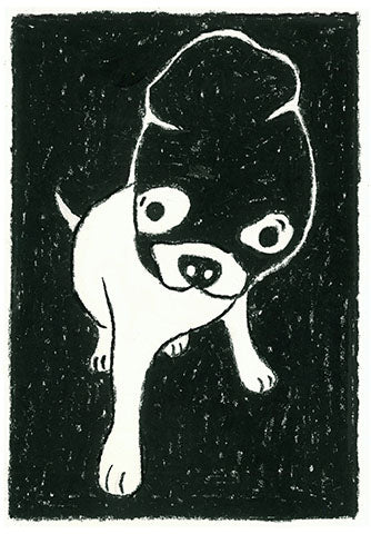 illustration queen of the jungle